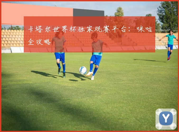 卡塔尔世界杯独家观赛平台:咪咕全攻略