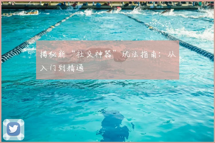 揭秘新“社交神器”玩法指南：从入门到精通