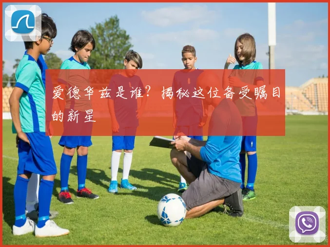 爱德华兹是谁？揭秘这位备受瞩目的新星