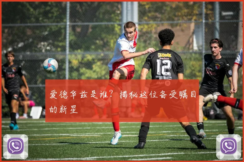 爱德华兹是谁？揭秘这位备受瞩目的新星